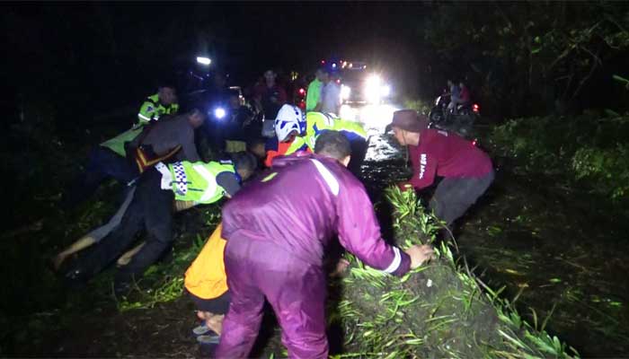 Pohon Tumbang Ke Ruas Jalinsum Di Gunung Medan, Lalu Lintas Sempat Macet 2 Kilometer