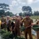 Sekda Sukarni Bersama Dinas Pertanian Panen Cabai Merah