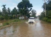 Banjir Landa Nagari Taram, Akses Jalan Nyaris Putus, 50 Rumah Terendam