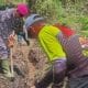 Warga Nagari Panampuang dan Lantamal II Padang Bersihkan Jalur Sungai Terdampak Banjir Bandang Lahar Dingin