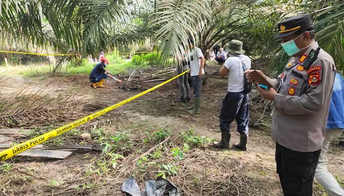 Warga Keluang Gempar, Ditemukan Kerangka Manusia di Kebun Sawit 1 Polsek Keluang mengadakan olah TKP penemuan kerangka manusia di kebun sawit