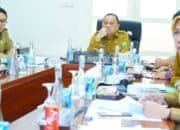 Penjabat Bupati Muba Ikuti Rakor Pengendalian Inflasi 2024 bersama Kemendagri