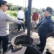 Pj Bupati Muba Dampingi Kapolda Sumsel Pantau Lokasi Illegal Drilling di Sungai Angit