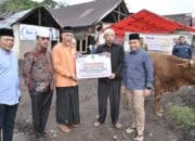 Gubernur Mahyeldi Tebar Kurban ASN dan BUMD Pemprov Sumbar di Nagari Parambahan Tanah Datar