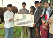 Gubernur Sumbar Serahkan Sapi Kurban Presiden Jokowi serta 78 Ekor Sapi dari ASN dan BUMD