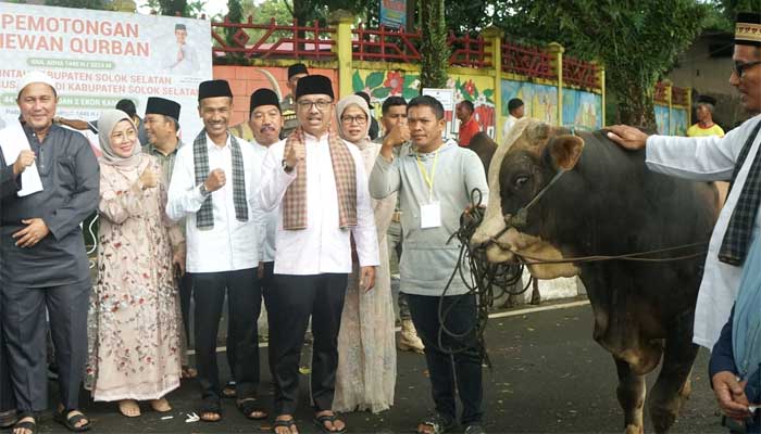 Pemkab Solsel bersama Forum TJSLP Tebar 44 Ekor Hewan Sapi Kurban