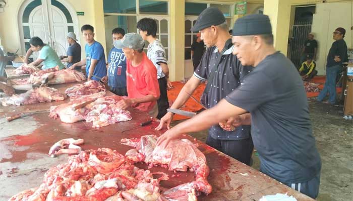Penyembelihan Hewan Kurban di Kota Padang Panjang