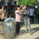 Wagub Audy Tebar Kurban ASN dan BUMD Sumbar di Kota Solok