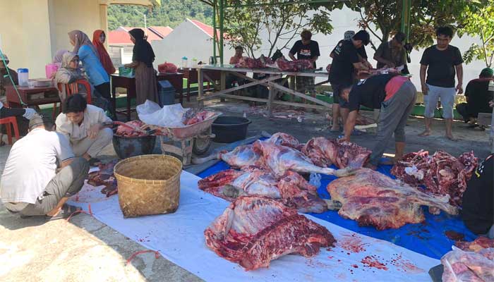 Pemotongan hewan kurban di Padang Panjang