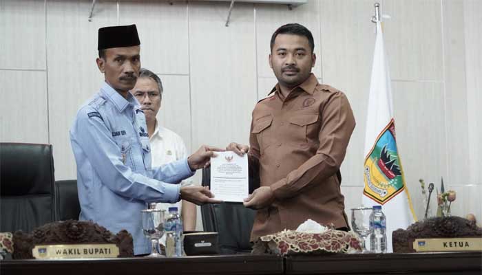 Pemkab Solsel Usulkan Perubahan sekaligus Penyesuaian SOTK Bappeda dan BPBD