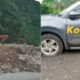 Preman Rusak Mobil Awak Media di Pasaman Barat