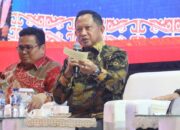 Sukseskan Pilkada 2024, Mendagri Imbau Pemda di Sumatera Segera Realisasikan NPHD