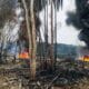 Pipa palep di areal rawa pertengahan pipa lokasi sumur terbakar di Sungai Dawas Dusun 5 Desa Srigunung, Kecamatan Sungai Lilin, Kabupaten Musi Banyuasin (Muba),