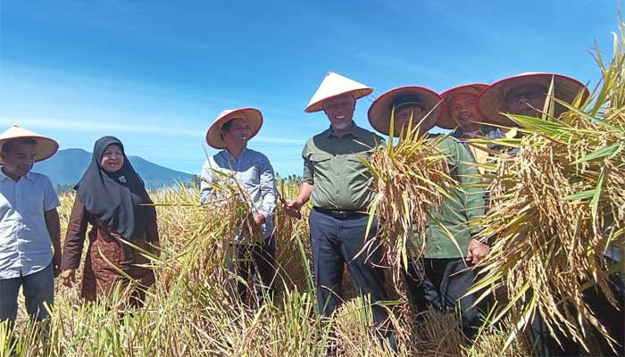 Gubernur Sumbar, Mahyeldi saat panen raya padi