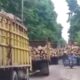 Truk Pengangkut Kayu Balok melintasi jalan di Kecamatan Rawang Panca Arga, Kabupaten Asahan