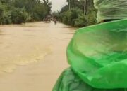 Beberapa Nagari di Pangkalan Koto Baru Kembali Dilanda Banjir