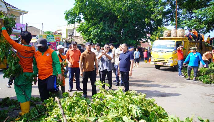 Pj Bupati Muba, Sandi Fahlepi Kunjungi Lokasi Pohon Tumbang