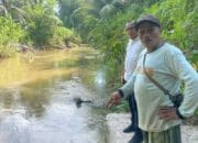 Pemprov Sumbar Sebar Ratusan Ribu Bantuan Bibit Ikan Garing ke Masyarakat