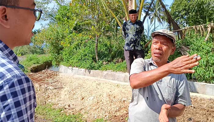 Pembangunan Banda Taluak Bawah di Solok Tuntas, Petani Jawi-Jawi: Terima Kasih Pemprov Sumbar! 1 Petani padi di Nagari Jawi-Jawi, Firdaus