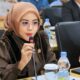 Anggota DPD RI, Aanya Rina Casmayanti