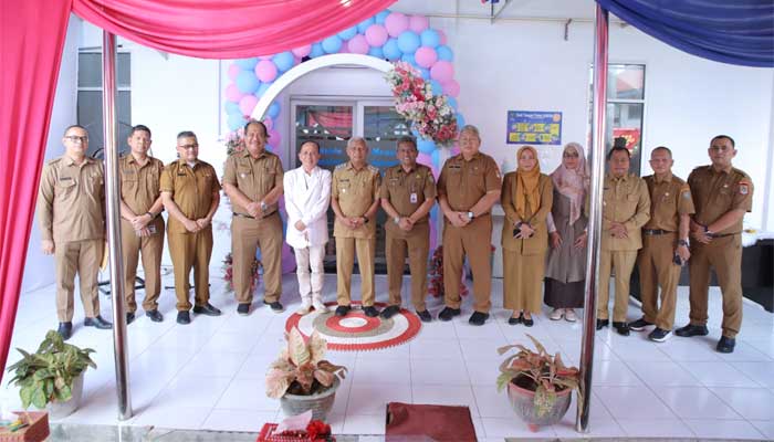 Pediatric Intensive Care Unit) dan NICU (Neonatal Intensive Care Unit