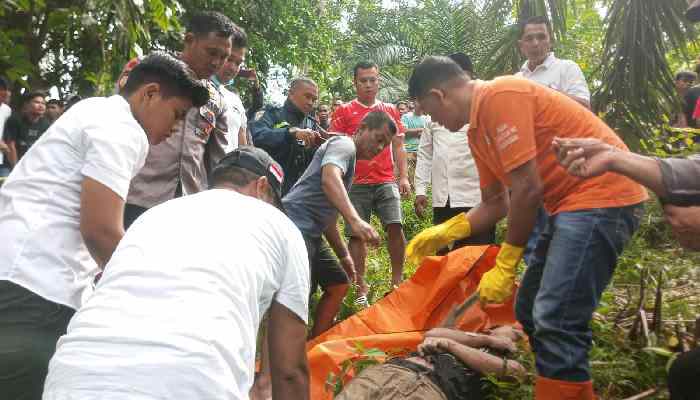 Penemuan sesosok Mayat di Kebun Sawit