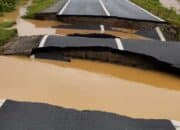 Banjir dan Pohon Tumbang Landa Pessel dan Mentawai, Jalan Provinsi Terputus