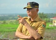 Gubernur Sumbar Perintahkan Seluruh OPD Gercep Tangani Bencana Banjir di Pessel