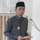 Wakil Wali Kota Padang Panjang, Allex Saputra