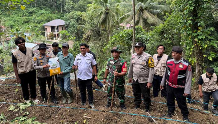 Polsek Muaro Kalaban bersama Pemerintah Desa Silungkang Oso Lakukan Penanaman Jagung