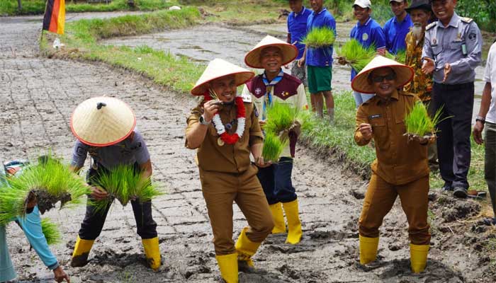 Wabup Limapuluh Kota, Ahlul Badrito Resha menanam padi di Sarana Asimilasi Edukasi Lapas Kelas III Suliki