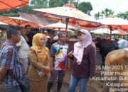 TPID Kabupaten Solok Monitor dan Periksa Kesehatan Hewan Kurban