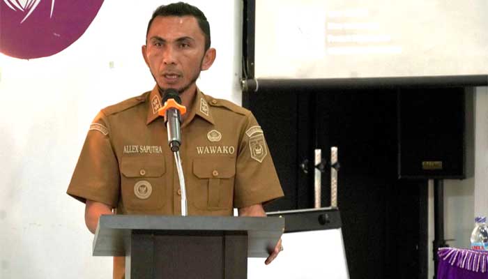 Wakil Wali Kota Padang Panjang, Allex Saputra