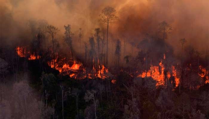 Ilustrasi kebakaran hutan