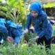 Ketua TP PKK Kabupaten Bintan, Hafizha Rahmadhani panen kebun bersama di Dasawisma Bunga Raya, Kampung Sidomulyo, Kelurahan Sei Lekop