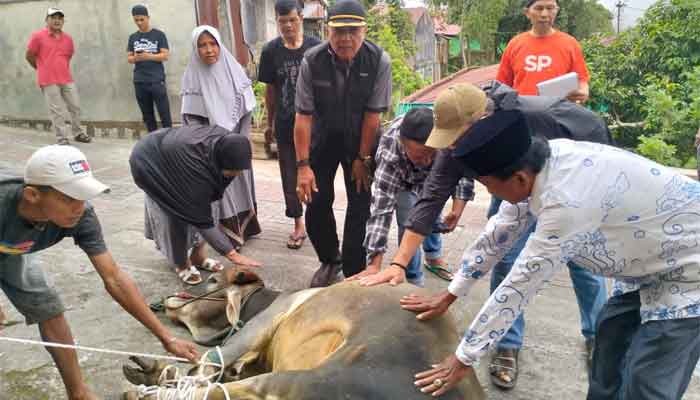 Penyembelihan hewan kurban di Kota Padang Panjang