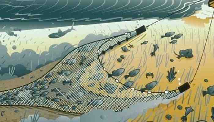 Nelayan Sumbar Komitmen Stop Pukat Harimau demi Laut Lestari