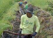 Enam Daerah Irigasi di Padang Panjang Terima Program Peningkatan Tata Guna Air Irigasi 2025