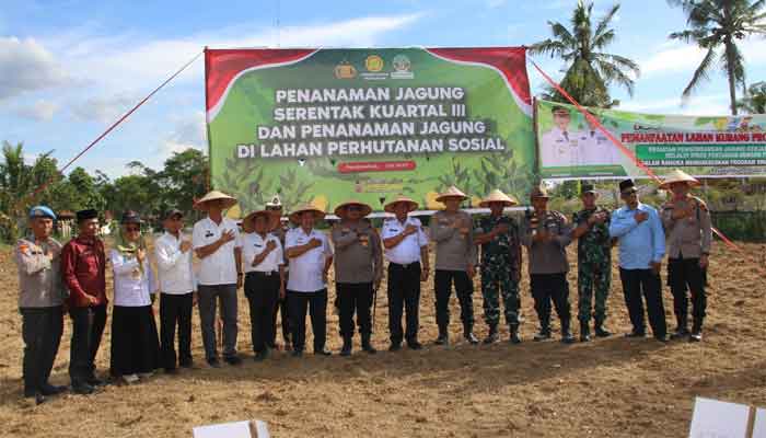 Pemko Payakumbuh Bersama Polres Payakumbuh Tanam Jagung di Koto Panjang