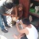 Puskeswan Sawahlunto Mulai Laksanakan Vaksinasi Hewan Penular Rabies