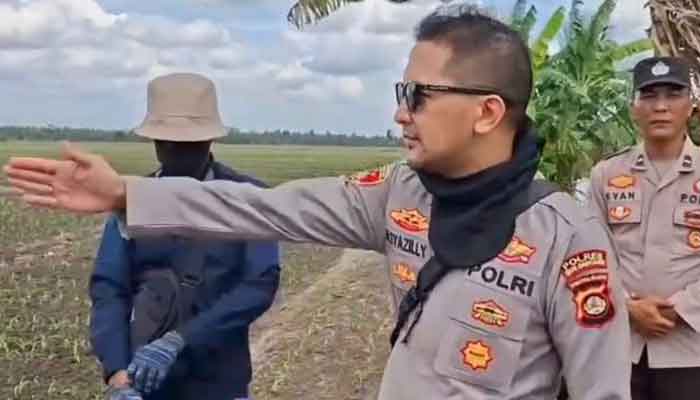 Kapolsek Iptu M Syazilli Cek dan Monitoring Perkembangan Jagung di Kecamatan Lalan
