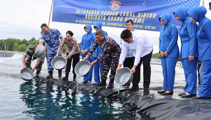Bupati Roby Tabur Benih Udang Vaname di LANAL Bintan, Proyeksi Panen 4,2 Ton