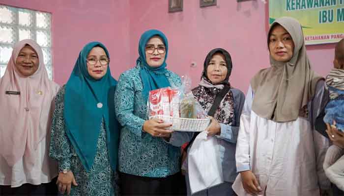 Ibu Hamil dan Ibu Menyusui Terima Bantuan, Camat Pauh Duo: Terima Kasih TP PKK Solok Selatan