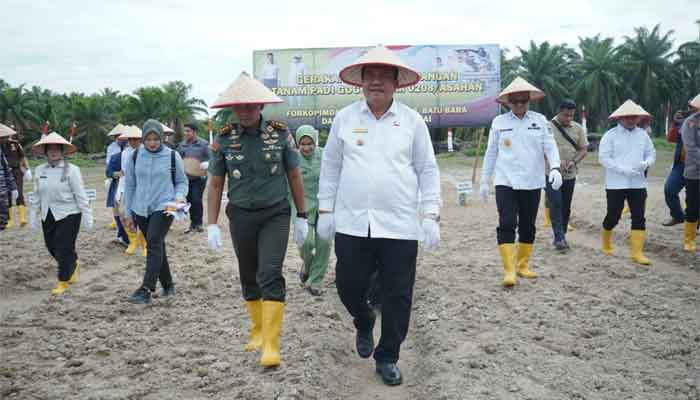 Forkopimda Bersatu Dukung Gerakan Tanam Padi Gogo Kodim 0208 Asahan