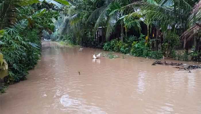 bencana alam