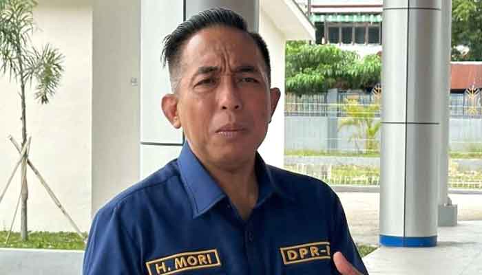 Anggota Komisi V DPR RI, Mori Hanafi