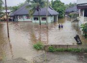 Ketika Air Naik Lebih Cepat dari Bantuan: Kisah Warga Pangkalan Koto Baru Bertahan di Tengah Banjir