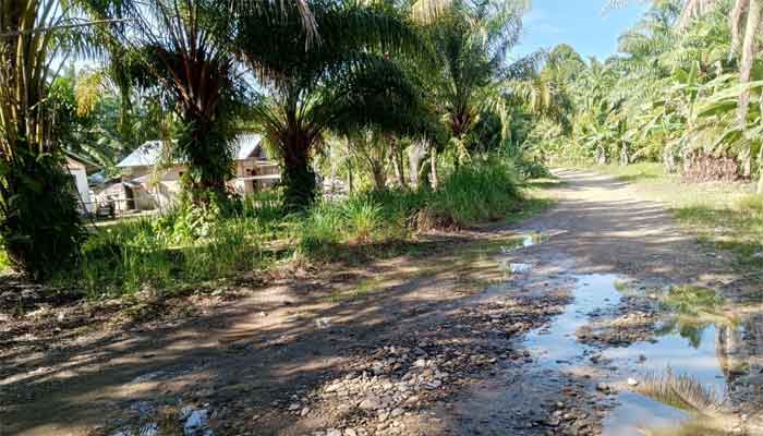 Jalan Dua Desa di Aceh Selatan Rusak Parah, Tak Kunjung Tersentuh Perbaikan, Kebijakan Pemda Disorot