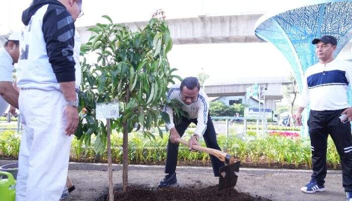 Munjirin Walikota Jakarta Timur, Dorong Ruang Publik Produktif Lewat Penanaman Pohon Buah di Cakung Barat