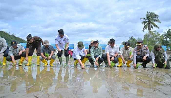 Rehabilitasi Sawah Terdampak Bencana Hidrometerologi di Sumatera Barat
